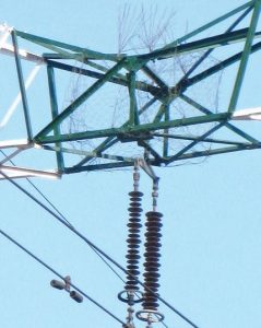 Pic1410-238x300 Pic1410-238x300 arrester Wildlife Protective Devices for Arresters Pic1410 238x300