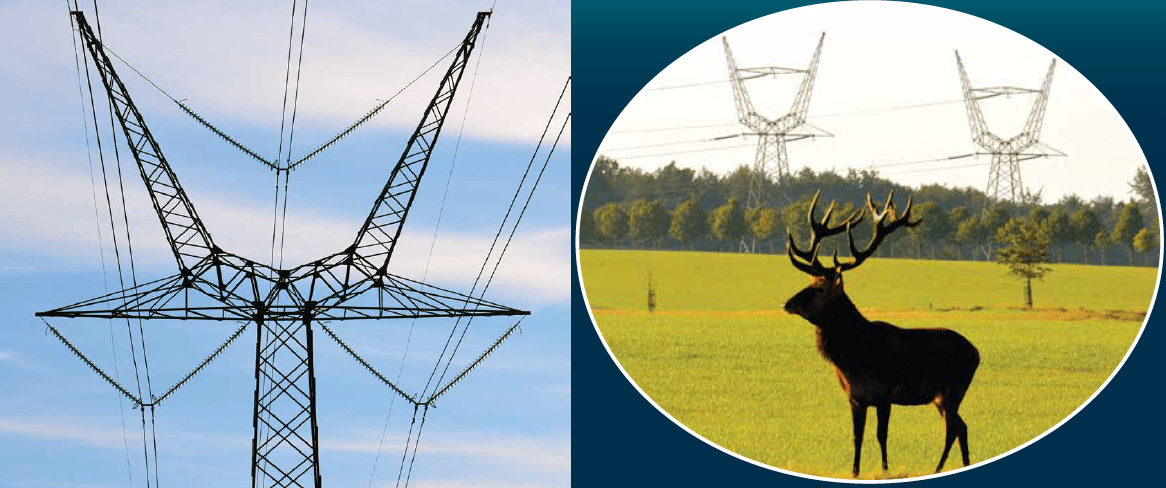 Screen-Shot-2017-09-08-at-16 Screen-Shot-2017-09-08-at-16 line Aesthetic Design Helped Danish TSO Obtain Approval for New 400 kV Line Screen Shot 2017 09 08 at 16