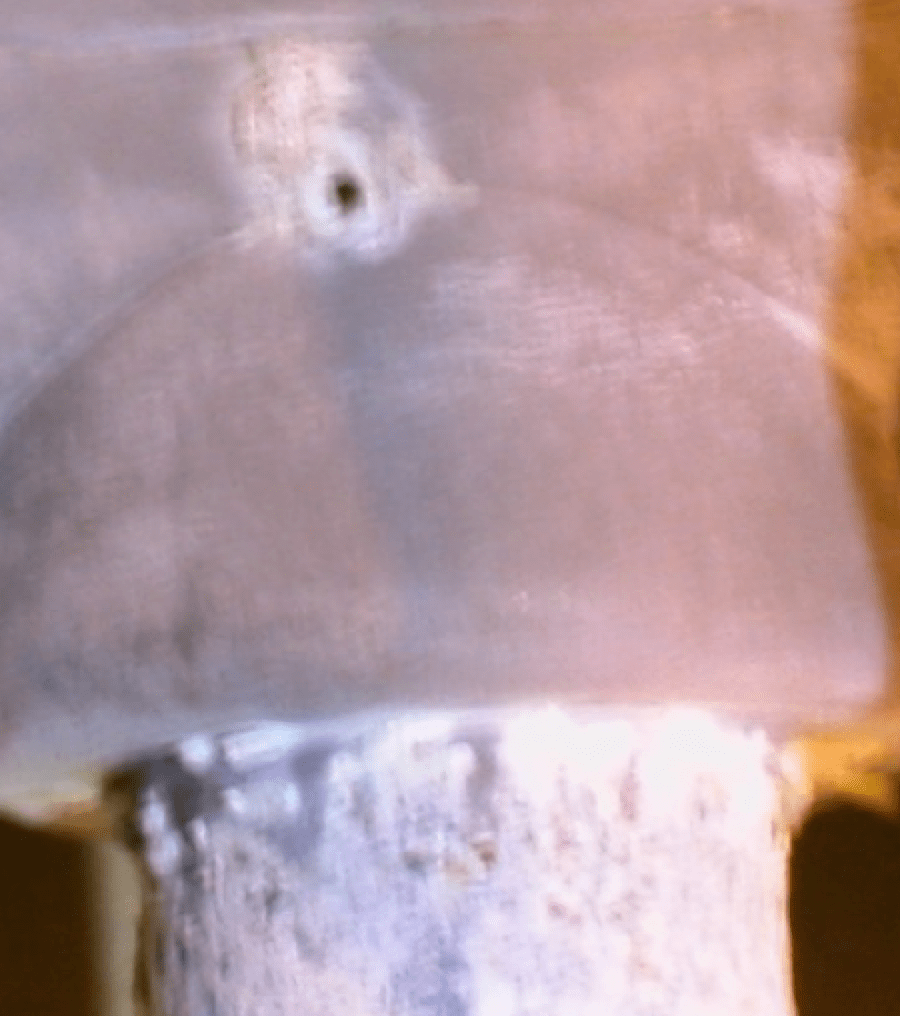 Screen-Shot-2016-08-10-at-11 Screen-Shot-2016-08-10-at-11 Fig. 5: Steep-front test with hole at mounting pin,cutouts cutouts CSA Standard on Composite Cutouts Screen Shot 2016 08 10 at 11
