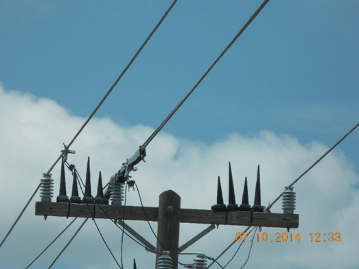 Part-2 Part-2 wildlife problem Resolving Pollution & Wildlife Problems on Distribution Systems Part 2