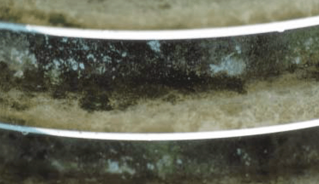 Screen-Shot-2017-05-05-at-15 Screen-Shot-2017-05-05-at-15 Extensive mold growth on silicone bushing resulted in water pooling. silicone bushing Experience with Mold Growth on Silicone Bushings Screen Shot 2017 05 05 at 15