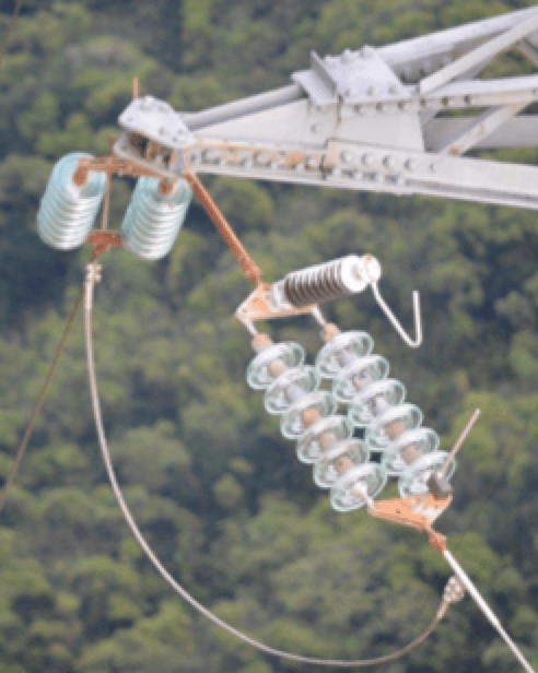 EGLAs-installed-in-South-Pacific-Islands EGLAs-installed-in-South-Pacific-Islands line arrester Line Arresters Mitigate Ground Potential Rise on Towers & Improve Electricity Quality EGLAs installed in South Pacific Islands