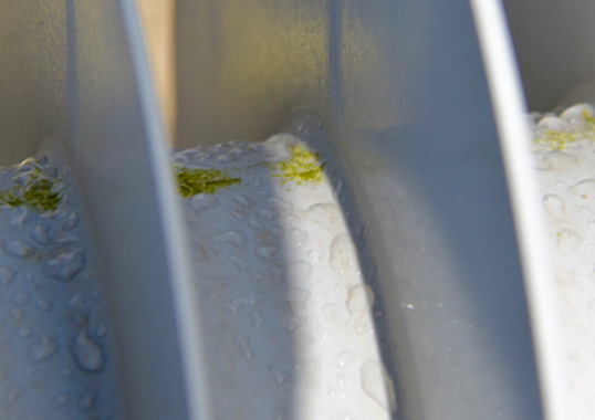 mpact-of-Biofilms-on-Insulator-Performance mpact-of-Biofilms-on-Insulator-Performance Expert Lars Jonsson Will Discuss Impact of Biofilms on Insulator Performance at 2019 INMR WORLD CONGRESS mpact of Biofilms on Insulator Performance