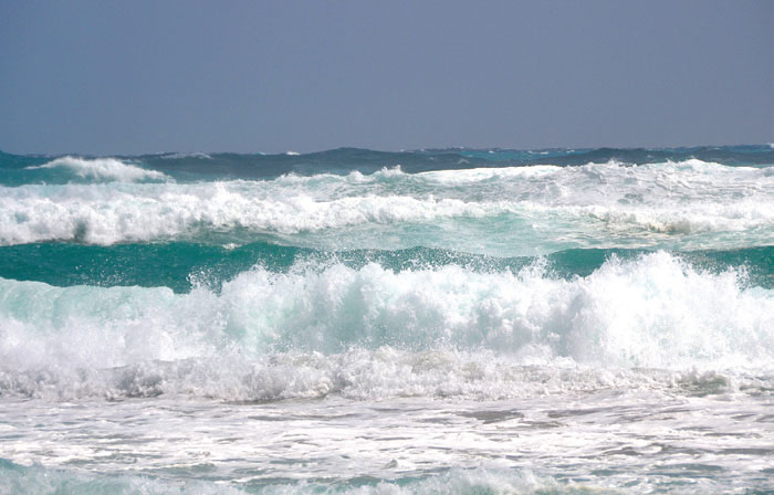 Wind direction is an important variable in understanding pollution deposition events.