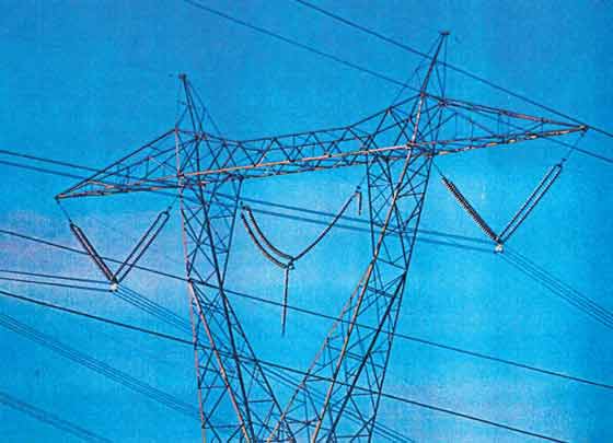 This photo is used by Brian White to bolster his claim that bad quality insulators were failing at only half their rated loads - evidenced by the surviving string.