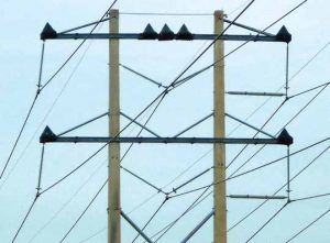 Topic-1-July-20_trans-300x221 Topic-1-July-20_trans-300x221 Transmission line with cones on each phase. distribution systems,pollution & wildlife, porcelain, insulators,insulator, power, distribution, contamination Resolving Problems on Distribution Systems from Pollution & Wildlife Topic 1 July 20 trans 300x221