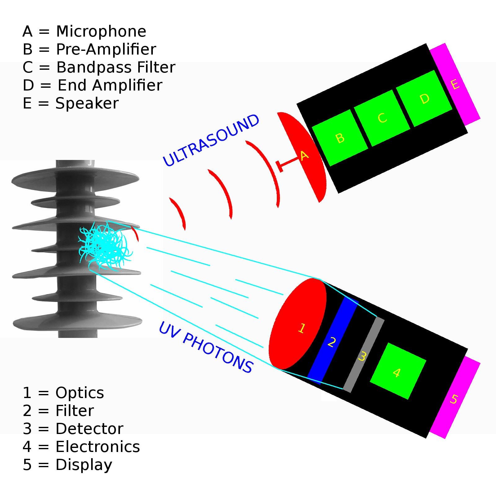 Principles of ultrasound and camera detectors.