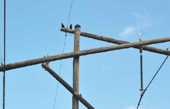 Screen-Shot-2016-05-20-at-9 Screen-Shot-2016-05-20-at-9 Example of bird ‘discourager’ used on transmission structure. distribution systems,pollution & wildlife, porcelain, insulators,insulator, power, distribution, contamination Resolving Problems on Distribution Systems from Pollution & Wildlife Screen Shot 2016 05 20 at 9