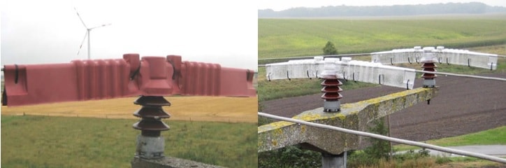 Case 3: Bird protection in Germany.