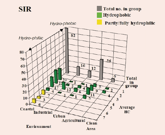 Figure 1: Example of analysis performed on line composite insulators.