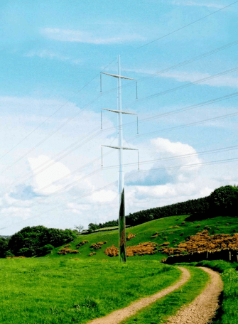 Fig. 2: 400 kV “Camouflage Pole’ (Europoles Contribution to RIBA/ National Grid Design Competition).