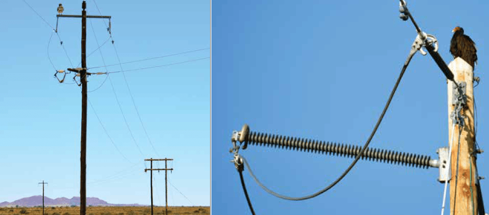 Screen-Shot-2016-06-10-at-13 Screen-Shot-2016-06-10-at-13 Electrocution of protected species of large birds is potentially a financial and public relations threat to power utilities. wildlife protect Wildlife Protective Devices Aim to Reduce Outages Screen Shot 2016 06 10 at 13