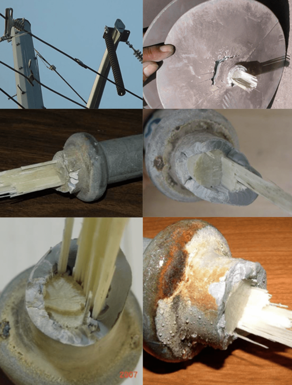 Learning from Service Experience with Composite Line Insulators