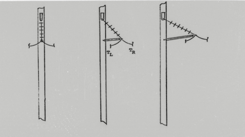 Strength Requirements of Braced HV Insulator Assemblies