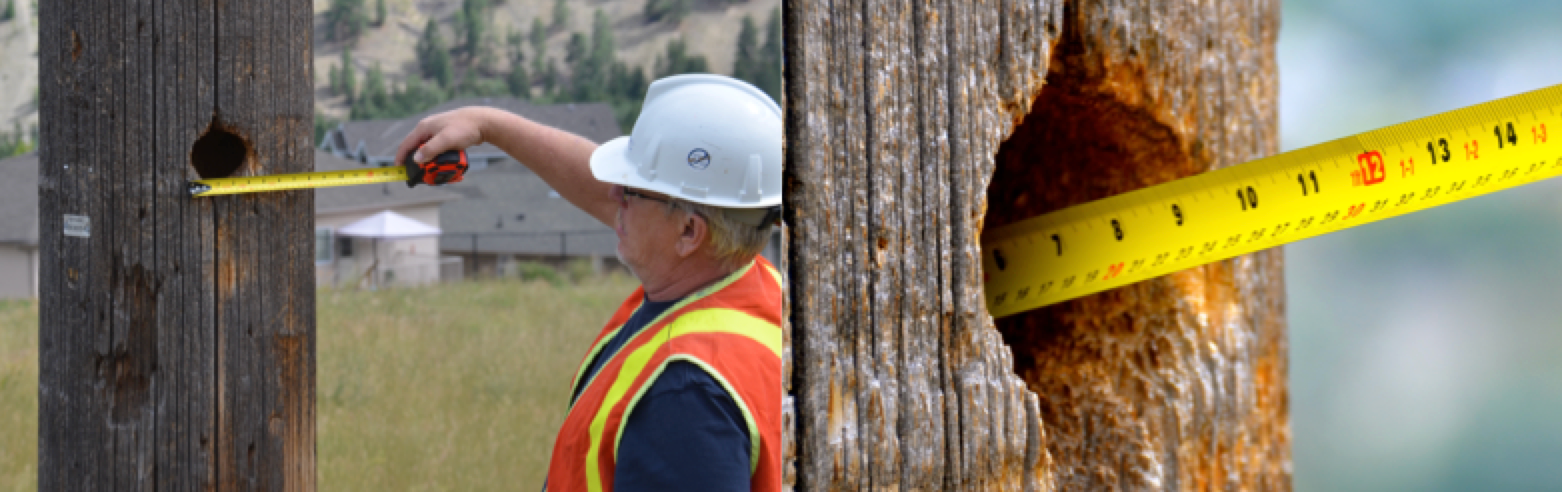Dimensions-woodpecker-holes-can-vary-considerably-by-structure Dimensions-woodpecker-holes-can-vary-considerably-by-structure Dimensions woodpecker holes can vary considerably by structure. bird Managing Bird Damage to Utility Structures Dimensions woodpecker holes can vary considerably by structure