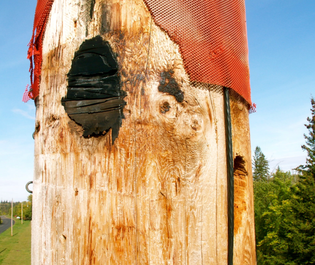 New-hole-at-bottom-right-occurred-after-original-hole-was-filled New-hole-at-bottom-right-occurred-after-original-hole-was-filled New hole (at bottom right) occurred after original hole was filled. (At top) Example of plastic mesh evaluated as solution to prevent new holes. bird Managing Bird Damage to Utility Structures New hole at bottom right occurred after original hole was filled
