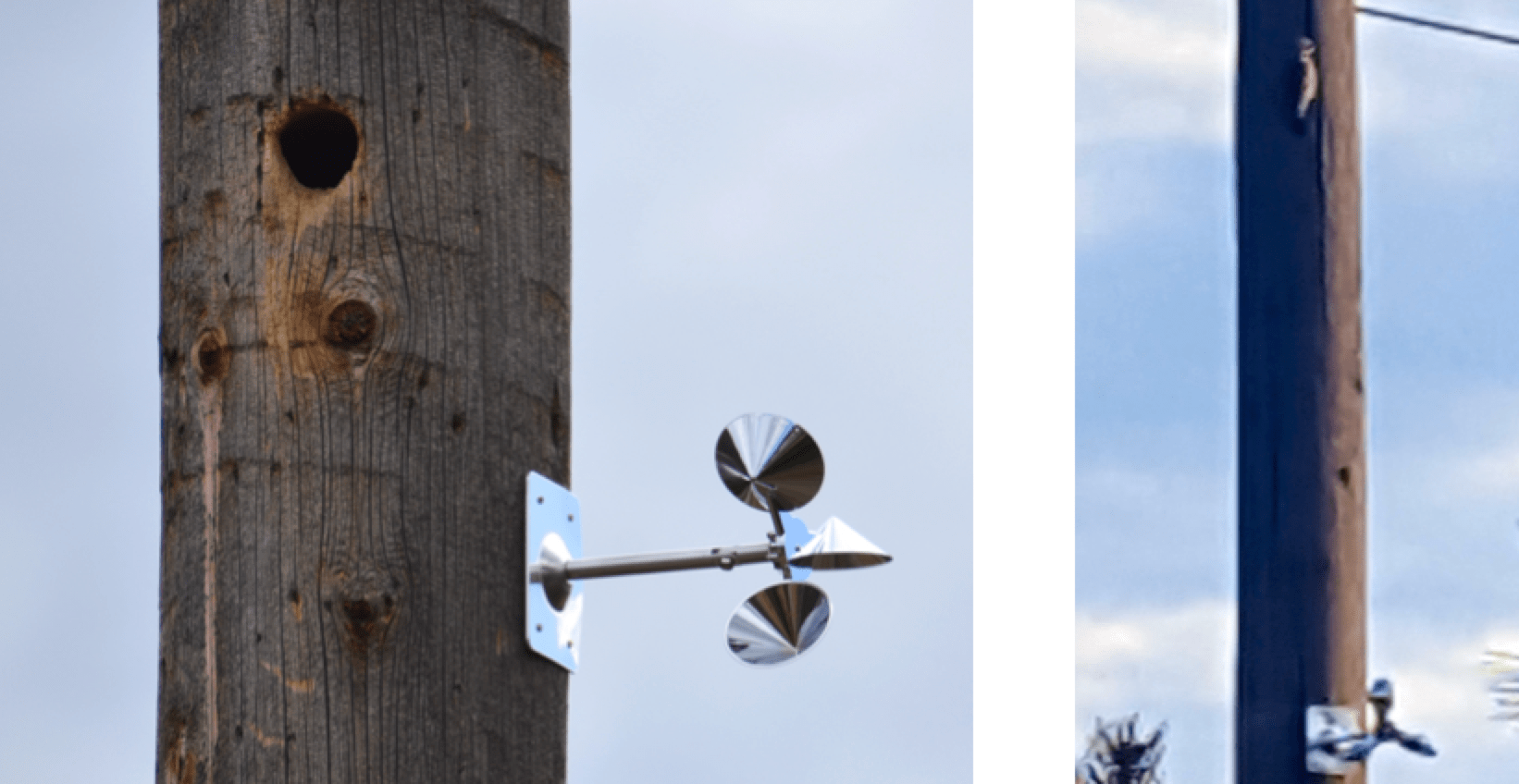 Pole-mounted-%E2%80%98woodpecker-discouragers%E2%80%99-have-not-proven-effective-as-long-term-deterrents Pole-mounted-%E2%80%98woodpecker-discouragers%E2%80%99-have-not-proven-effective-as-long-term-deterrents Pole mounted ‘woodpecker discouragers’ have not proven effective as long-term deterrents. See photo at right (photo courtesy FortisBC) with bird just above rotating device. bird Managing Bird Damage to Utility Structures Pole mounted E2 80 98woodpecker discouragers E2 80 99 have not proven effective as long term deterrents