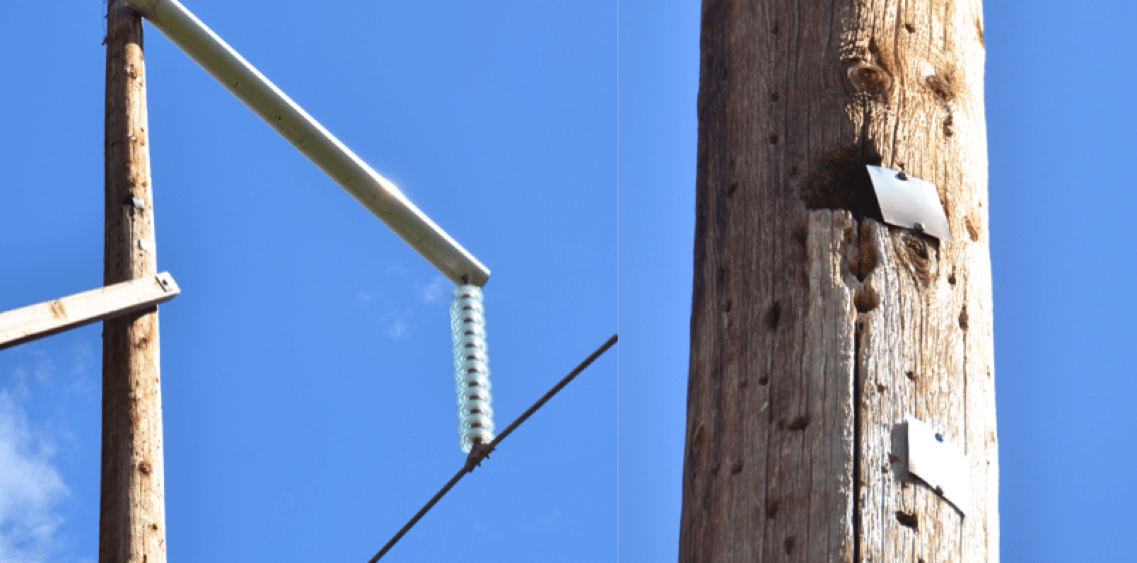 Structure-on-230-kV-line-has-large-hole-near-position-of-cross-brace-highlighted-by-metal-tags Structure-on-230-kV-line-has-large-hole-near-position-of-cross-brace-highlighted-by-metal-tags Structure on 230 kV line has large hole near position of cross brace, highlighted by metal tags. bird Managing Bird Damage to Utility Structures Structure on 230 kV line has large hole near position of cross brace highlighted by metal tags
