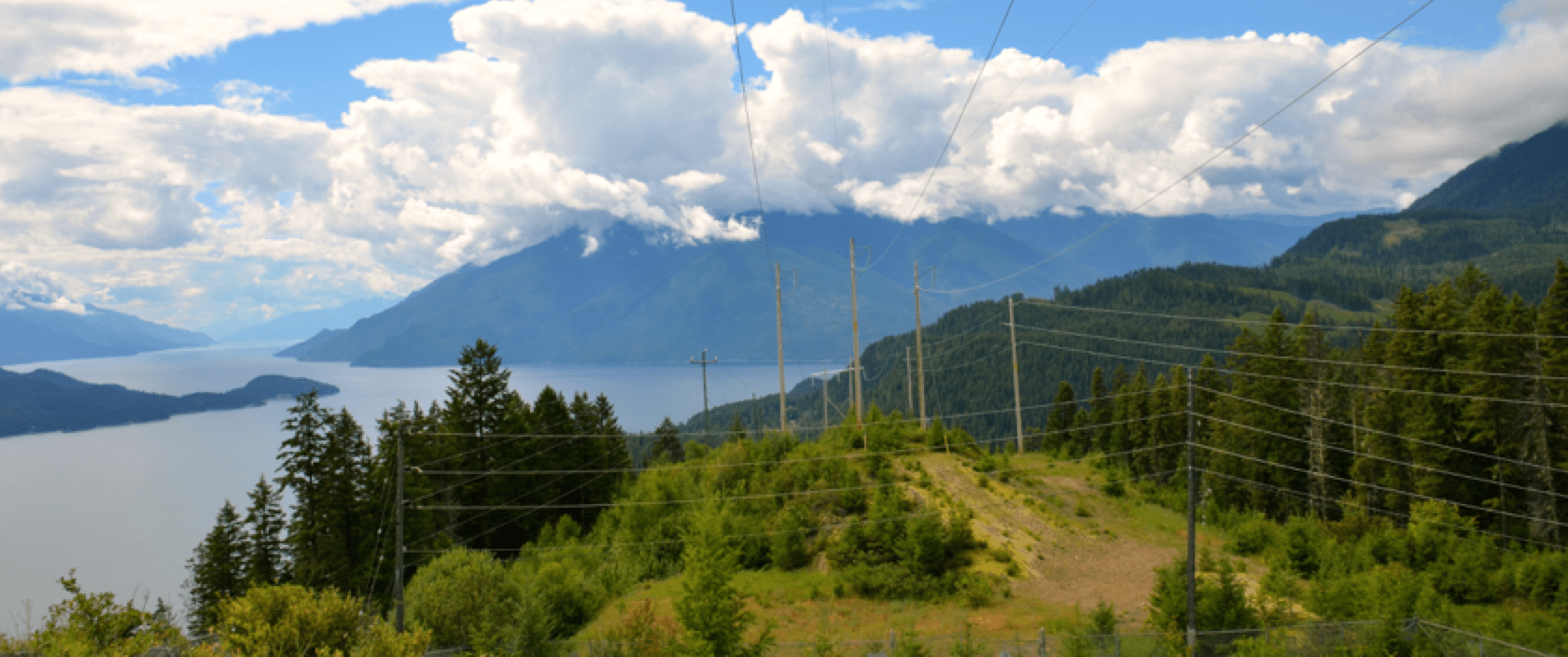 Transporting-heavy-steel-or-concrete-poles-to-remote-sites-presents-major-drawback-to-employing-such-a-solution-to-solve-woodpecker-damage Transporting-heavy-steel-or-concrete-poles-to-remote-sites-presents-major-drawback-to-employing-such-a-solution-to-solve-woodpecker-damage Transporting heavy steel or concrete poles to remote sites presents major drawback to employing such a solution to solve woodpecker damage. bird Managing Bird Damage to Utility Structures Transporting heavy steel or concrete poles to remote sites presents major drawback to employing such a solution to solve woodpecker damage