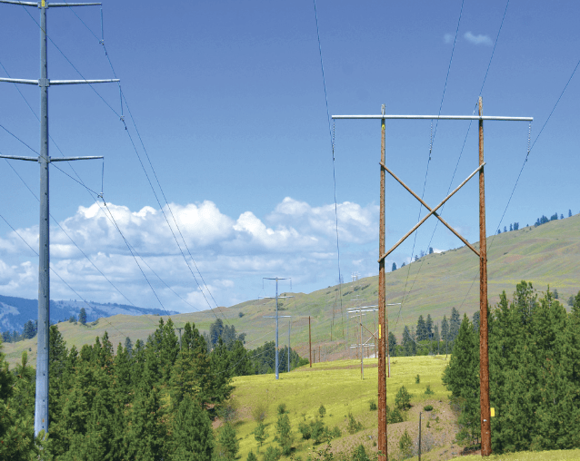 Transmission Poles