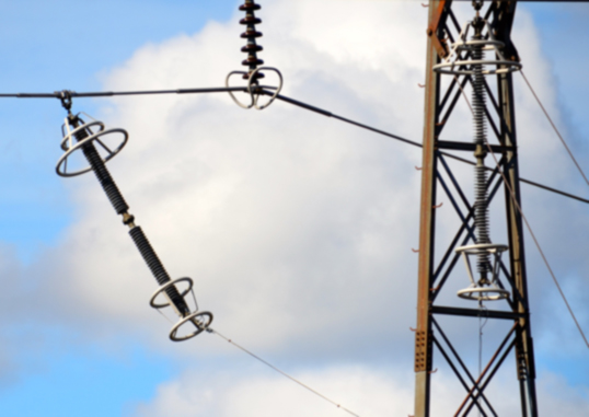Transmission Line Arresters TLSA