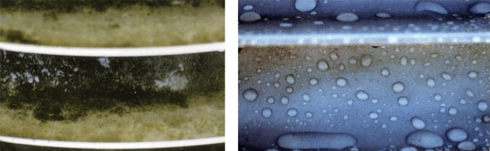 Mold-growth-before-removal Mold-growth-before-removal hollow core insulator When Hollow Core Insulators Become a Home for Mold Mold growth before removal