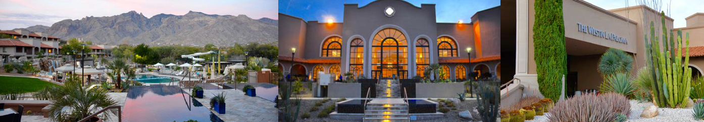 tucson-arizona tucson-arizona 2019 INMR WORLD CONGRESS inmr world congress 2019 INMR WORLD CONGRESS Will Come to Tucson, Arizona tucson arizona
