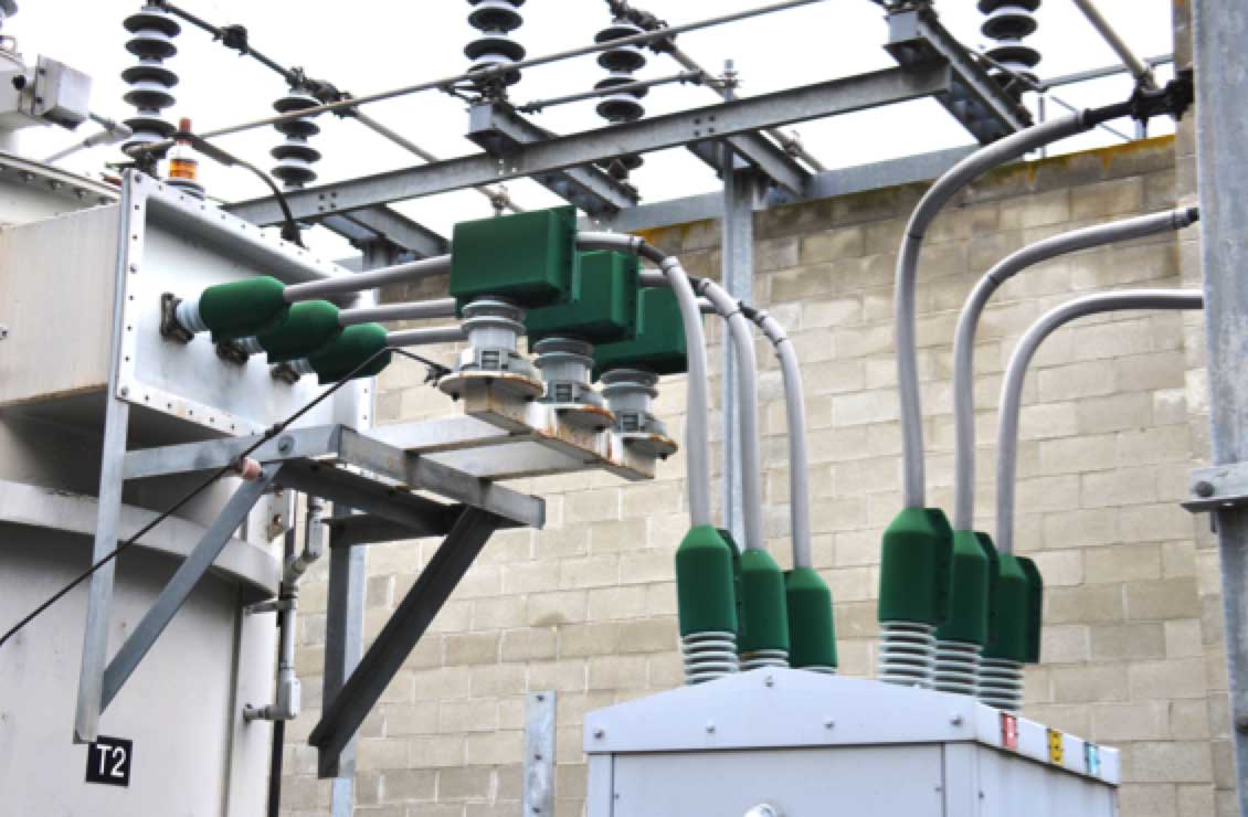 Protective devices to prevent wildlife outages