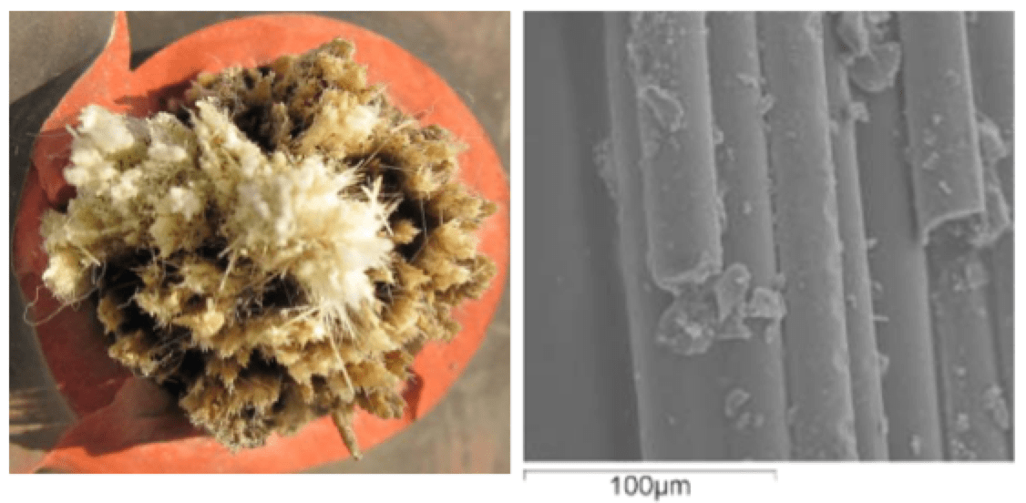 Fig. 6: Decay-like fracture of composite insulator