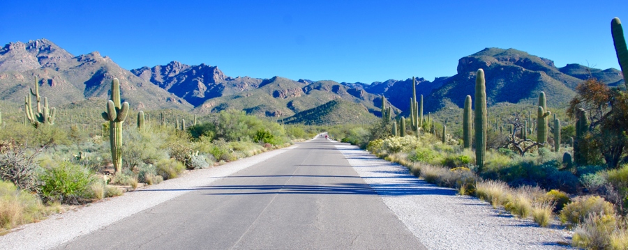 Tucson-3 Tucson-3 2019 INMR WORLD CONGRESS inmr world congress Update on the 2019 INMR WORLD CONGRESS Tucson 3