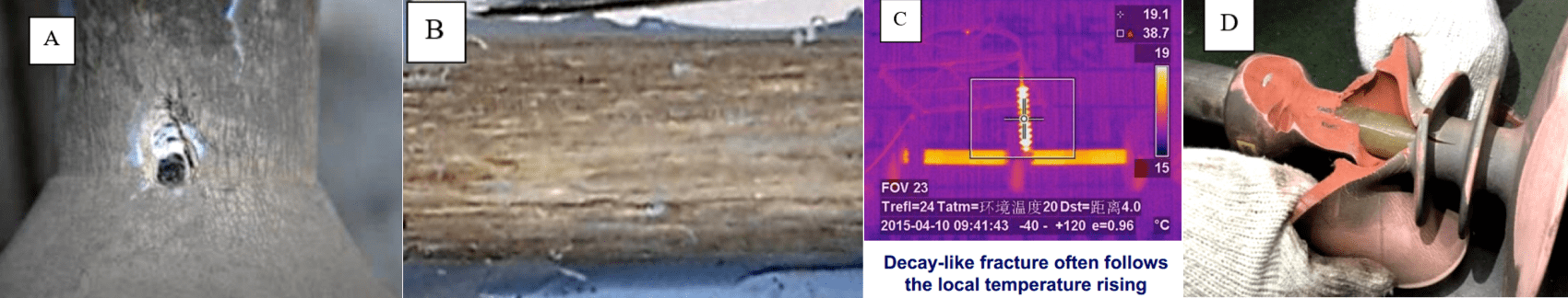 Fig. 3: Illustration of Chinese data on 'decay-like fractures'. A. Punctures in housing covering the internal 'decay-like fractures'; B. Appearance of fiberglass rod; C. Detection of internal failure by IR; D. Poor adhesion believed to be root cause of damage. CLICK TO ENLARGE