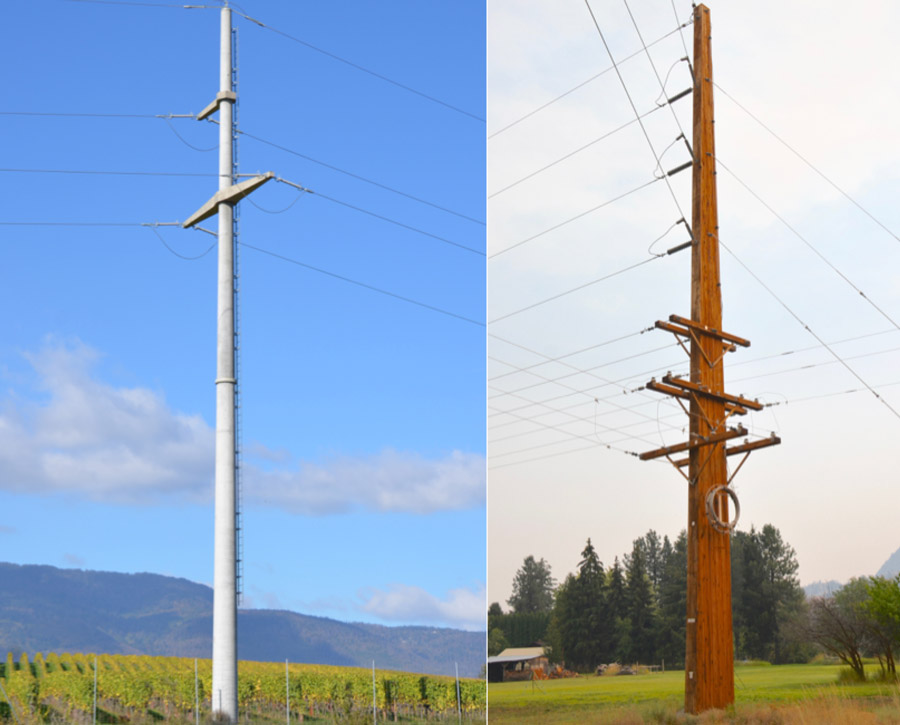 Power Line Structure