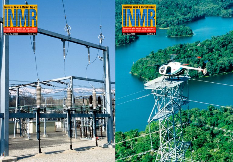 30 Eventful Years of INMR
